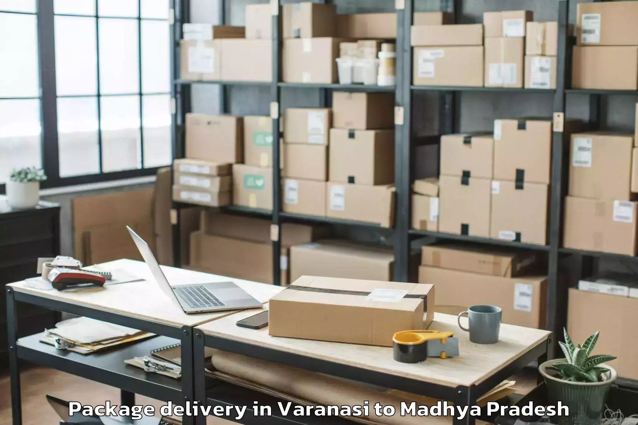 Trusted Varanasi to Rewa Airport Rew Package Delivery